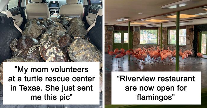 Texans Are Bringing Farm And Wild Animals Inside To Keep Them Warm During The Cold Wave (19 Pics)