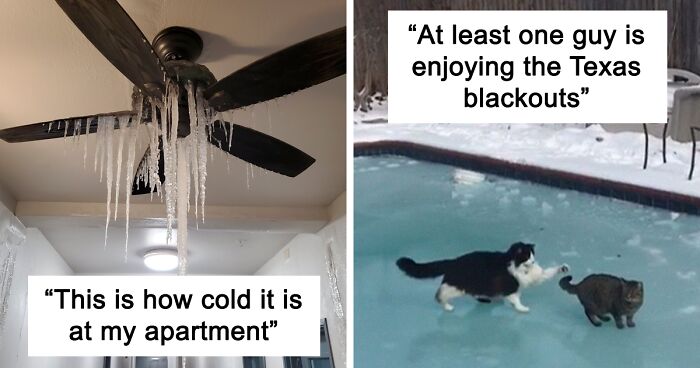 40 Pics Showing How Texas Is Dealing With The Coldest Weather In Over 30 Years