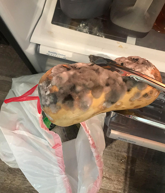 Roommate Bought Veggies Back In Early May And Didn’t Use Them, I Finally Gave Up On Telling Him To Clean The Fridge And Did It Myself