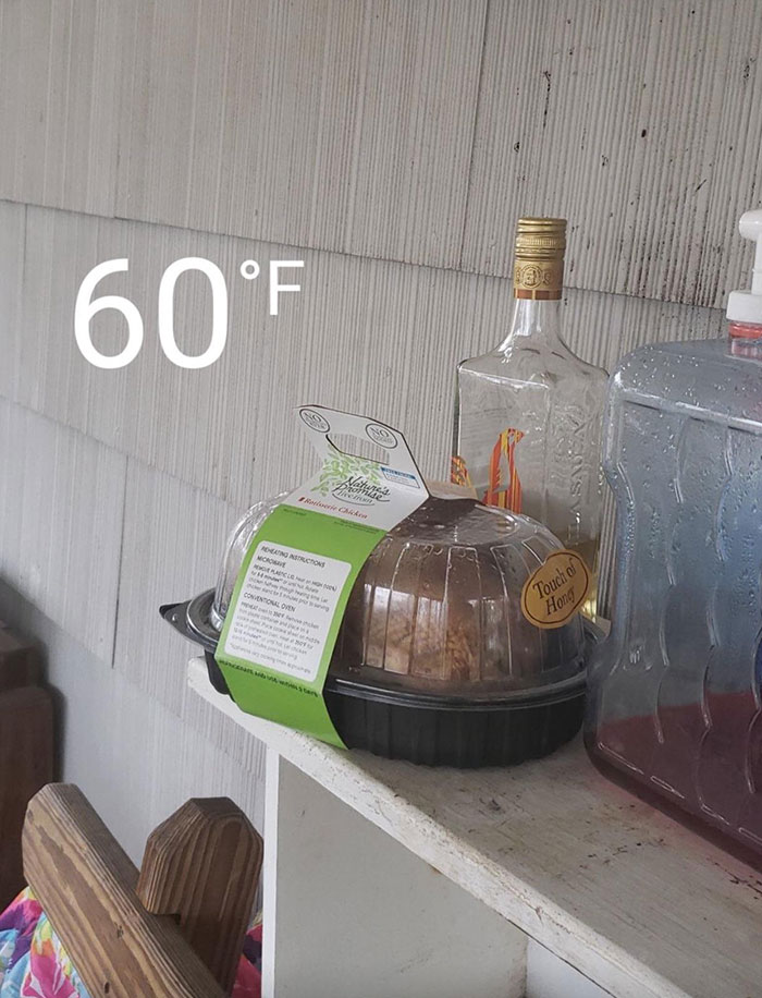 A Constant Battle Of Trying To Get My Irresponsible Roommate Not To Leave His Chicken Everywhere. He’s Also Got One On The Kitchen Table Thats Been There For A Few Days