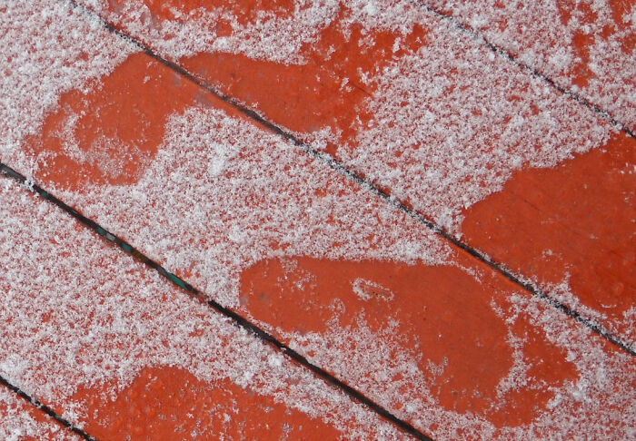 Evidence The Yeti Family Flourishes Amid The Winter Storms