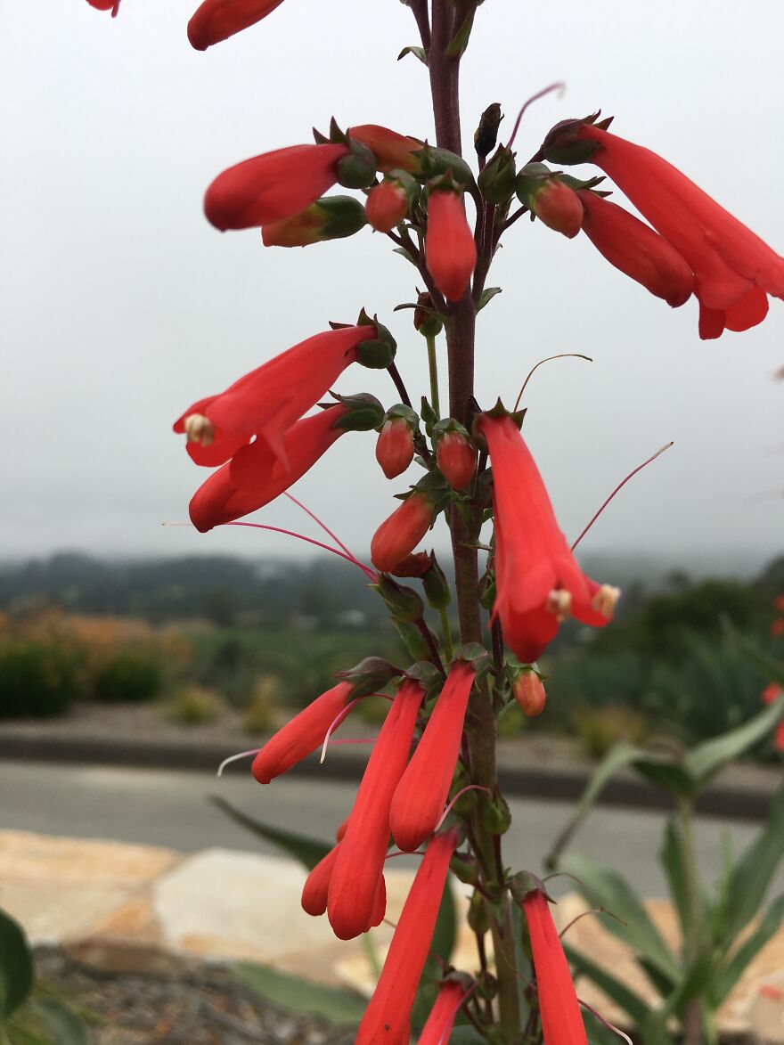 Wildlife Photography Wildlife Photography