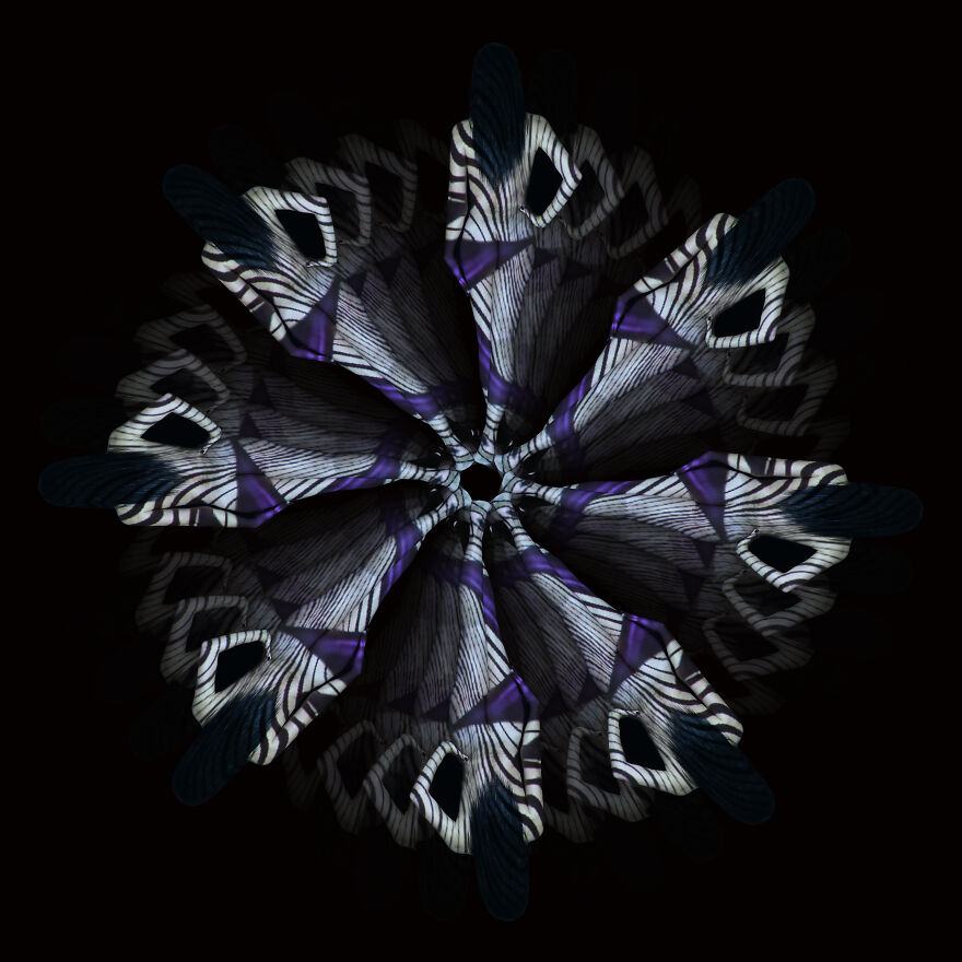 Flower Of Life Flower Of Life