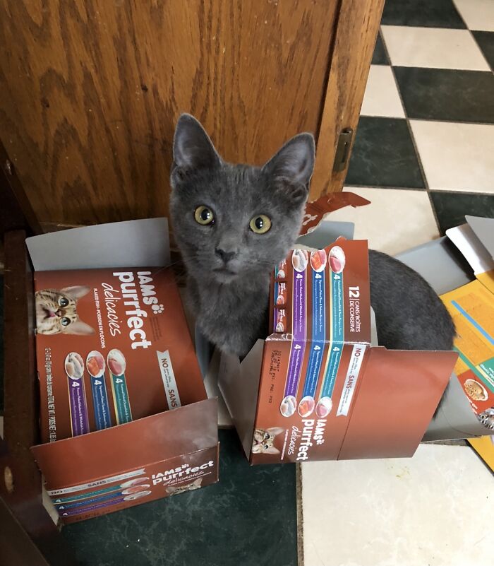 We’re Gonna Need A Bigger Box!