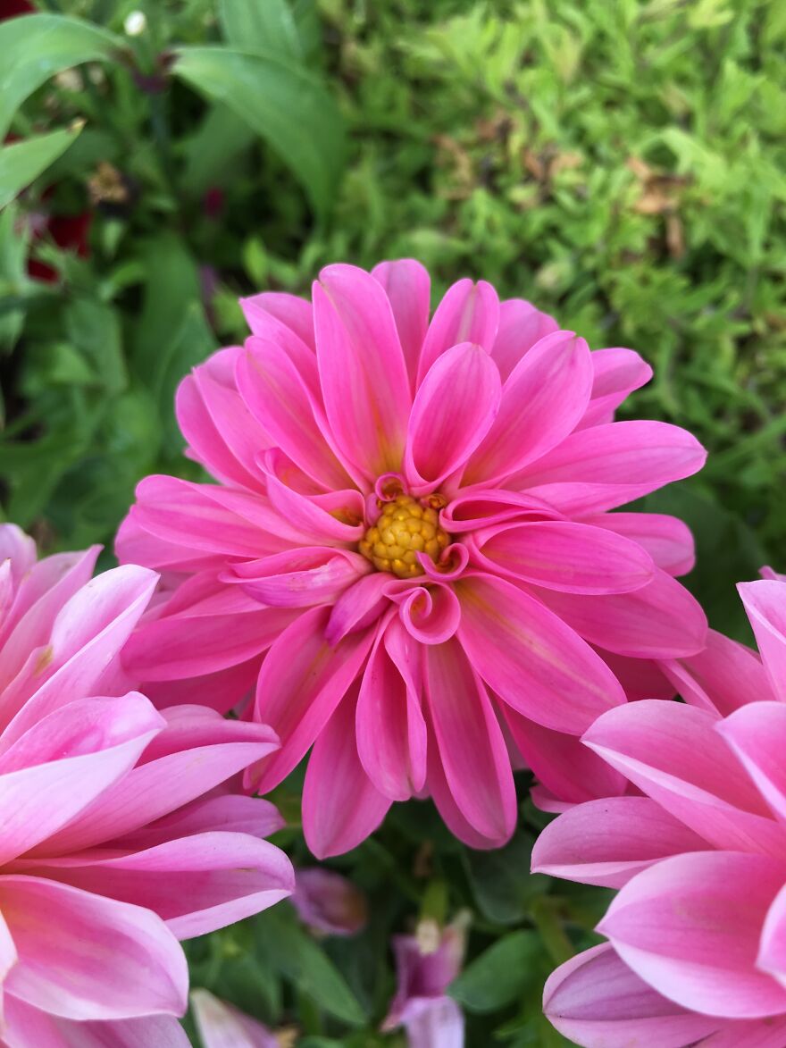 Wildlife Photography Wildlife Photography