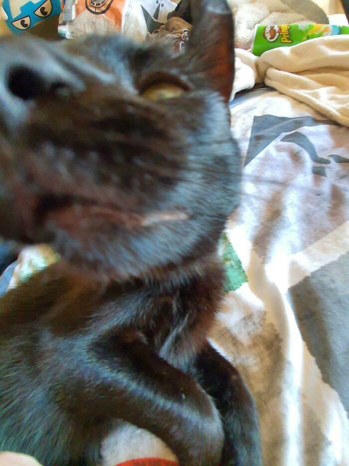 Spidey Up Close And Personal