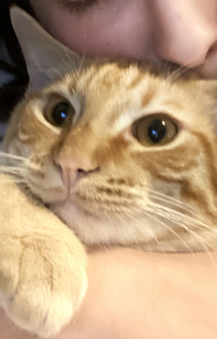 Just Look At The Face! I ❤️ My Baby!