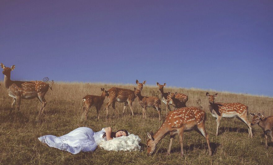 I Had A Beautiful Dream