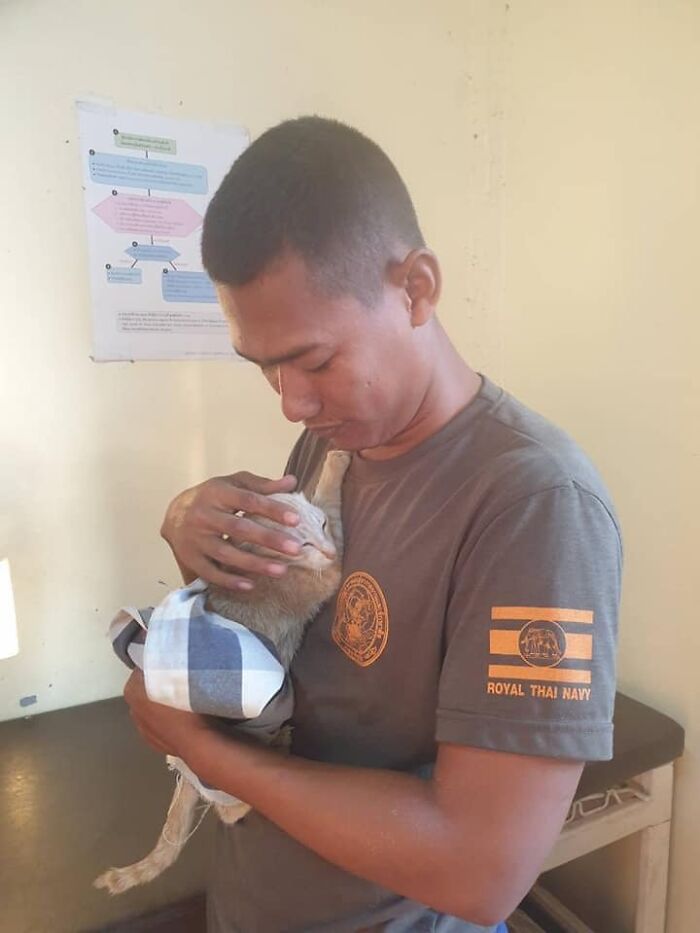 Thai Navy Officer Jumps Into Water And Swims To Rescue These Four Cats From A Rapidly Sinking Ship Thai Navy Officer Jumps Into Water And Swims To Rescue These Four Cats From A Rapidly Sinking Ship