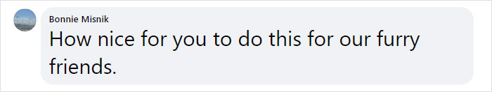 Dad And His 10-Year-Old Son Use Their Time In Quarantine To Build A 'Stick Library' For Local Dogs Dad And His 10-Year-Old Son Use Their Time In Quarantine To Build A 'Stick Library' For Local Dogs