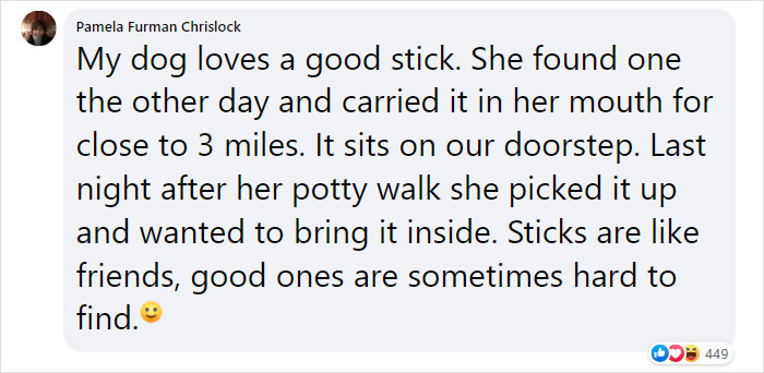 Dad And His 10-Year-Old Son Use Their Time In Quarantine To Build A 'Stick Library' For Local Dogs Dad And His 10-Year-Old Son Use Their Time In Quarantine To Build A 'Stick Library' For Local Dogs
