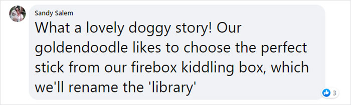 Dad And His 10-Year-Old Son Use Their Time In Quarantine To Build A 'Stick Library' For Local Dogs Dad And His 10-Year-Old Son Use Their Time In Quarantine To Build A 'Stick Library' For Local Dogs