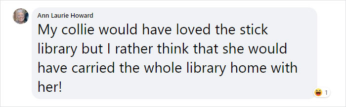 Dad And His 10-Year-Old Son Use Their Time In Quarantine To Build A 'Stick Library' For Local Dogs Dad And His 10-Year-Old Son Use Their Time In Quarantine To Build A 'Stick Library' For Local Dogs