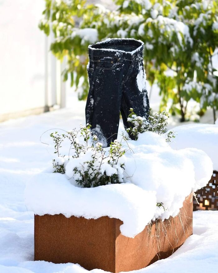 Frozen-Pants-Online-Trend-Winter-Cold-Weather