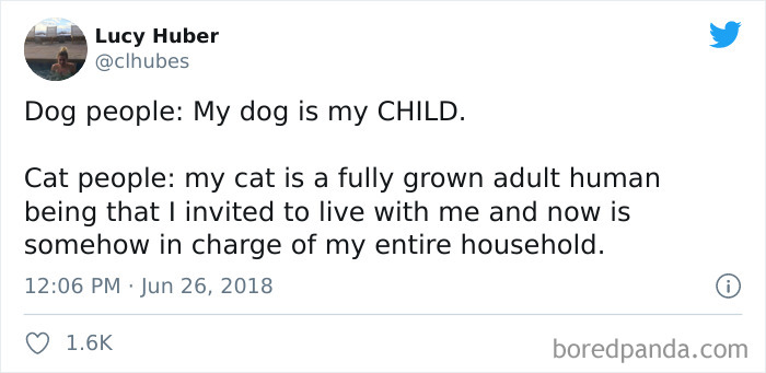 Cat-vs.-Dog-People-Tweets
