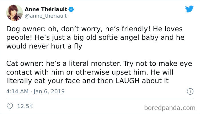 Cat-vs.-Dog-People-Tweets