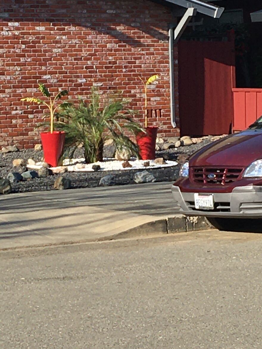 10 Weird And Cool Things I Saw On A Walk