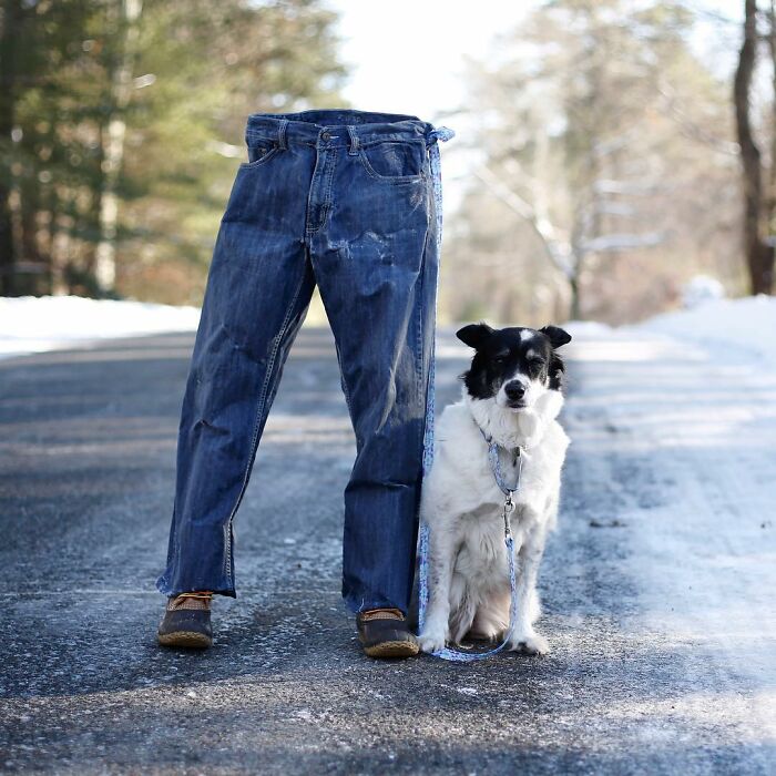 Frozen-Pants-Online-Trend-Winter-Cold-Weather