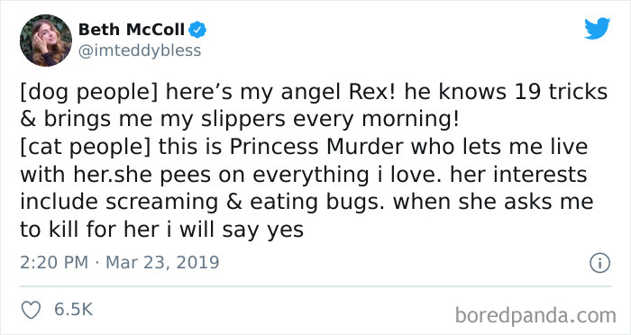 Cat-vs.-Dog-People-Tweets