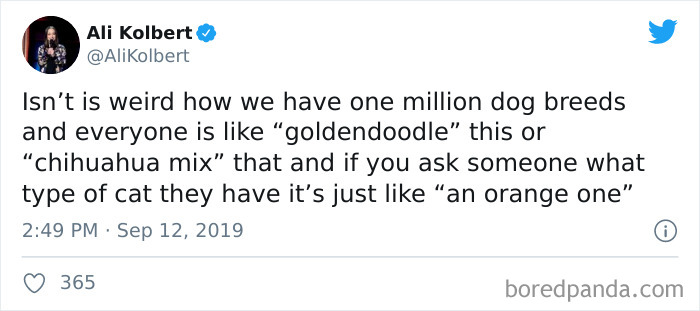 Cat-vs.-Dog-People-Tweets