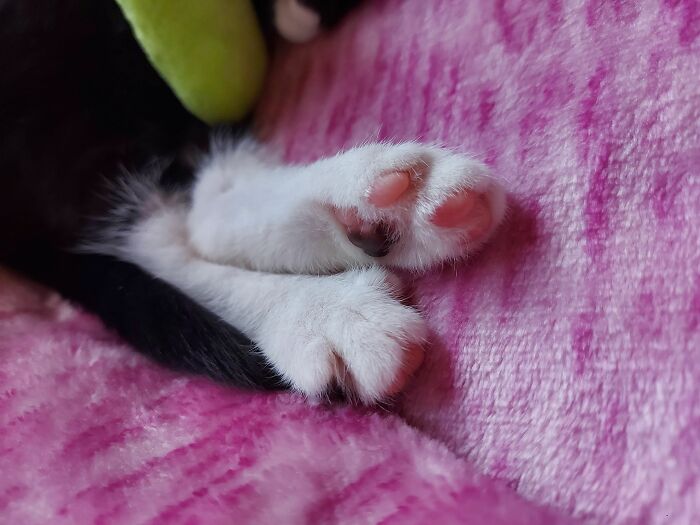 Back Beans!