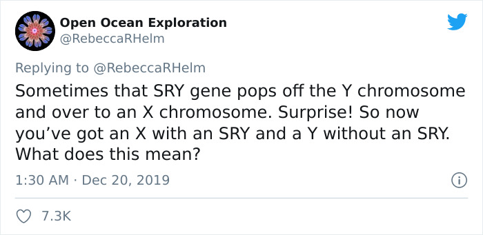 Biology Professor Explains What “Biological Sex” Really Means, Starts A Heated Debate On Twitter Biology Professor Explains What “Biological Sex” Really Means, Starts A Heated Debate On Twitter