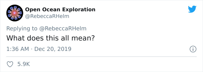 Biology Professor Explains What “Biological Sex” Really Means, Starts A Heated Debate On Twitter Biology Professor Explains What “Biological Sex” Really Means, Starts A Heated Debate On Twitter