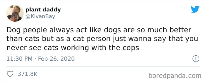Cat-vs.-Dog-People-Tweets