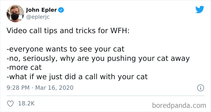 People-Tired-Of-Zoom-Video-Calls-Working-From-Home-Tweets