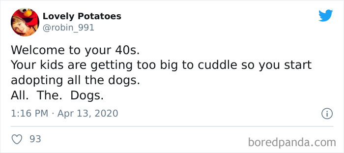 Tweet about life in your 40s: adopting dogs as kids grow too big to cuddle.