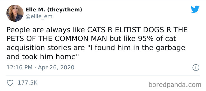 Cat-vs.-Dog-People-Tweets