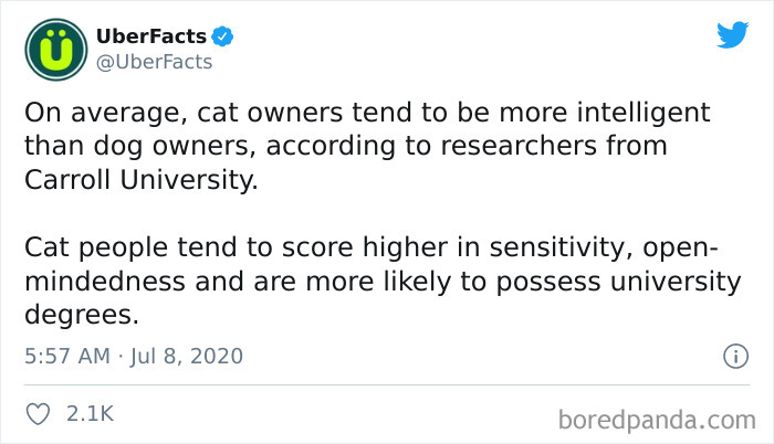 Cat-vs.-Dog-People-Tweets