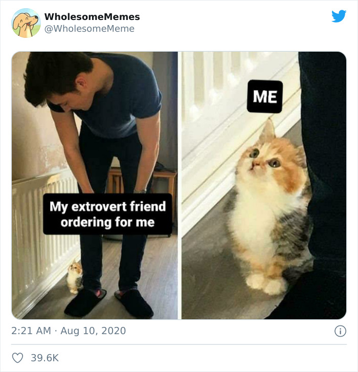 Wholesome-Heartwarming-Memes