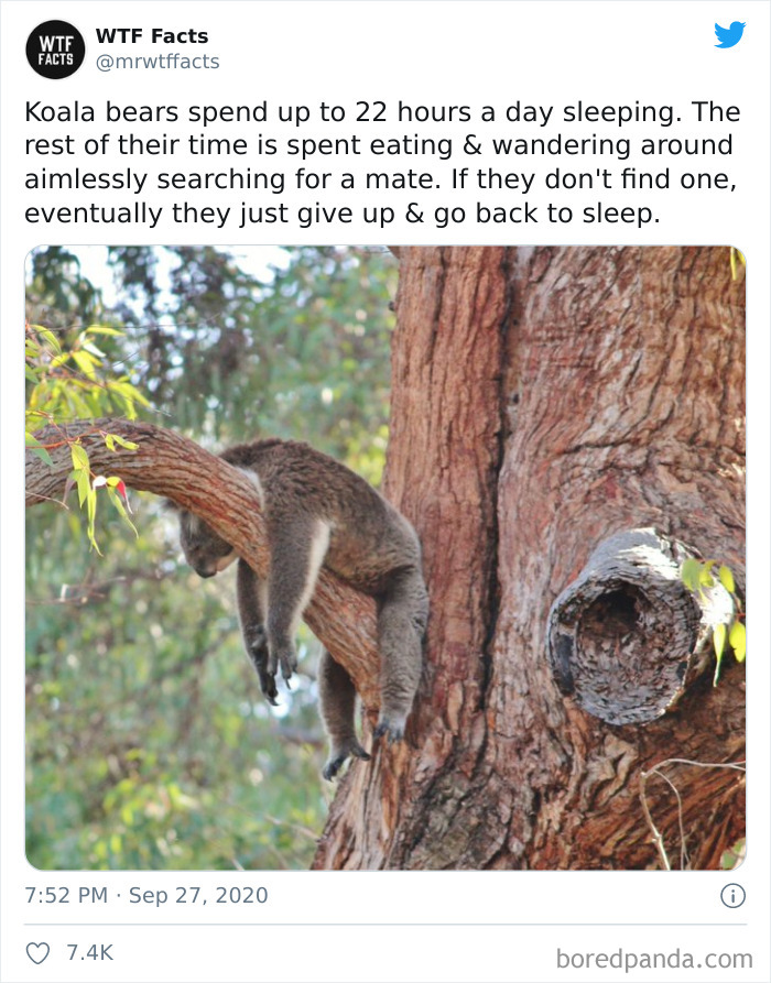 Weird-Interesting-Facts