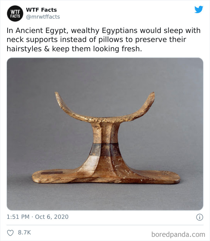 Weird-Interesting-Facts