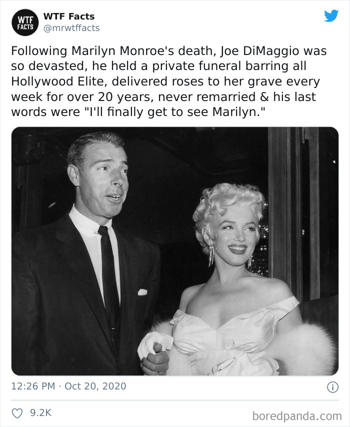 Weird-Interesting-Facts