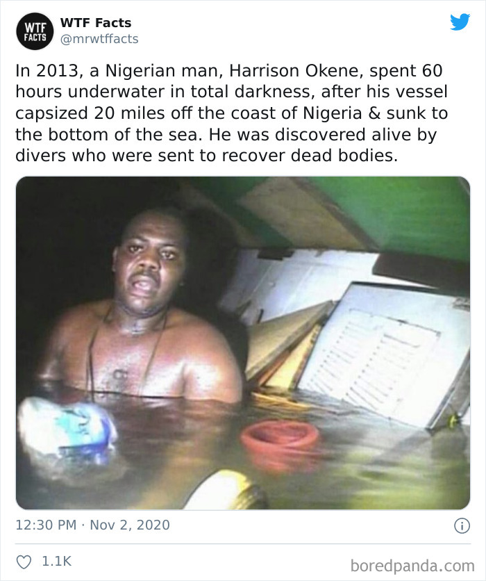 Weird-Interesting-Facts