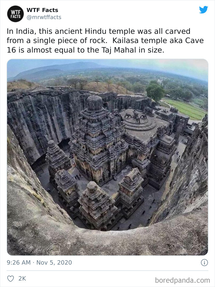 Weird-Interesting-Facts