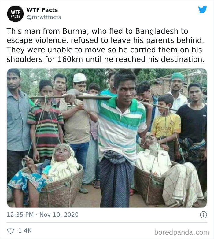 Weird-Interesting-Facts