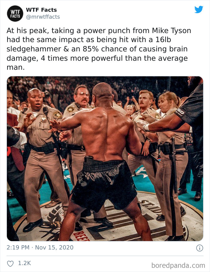 Weird-Interesting-Facts