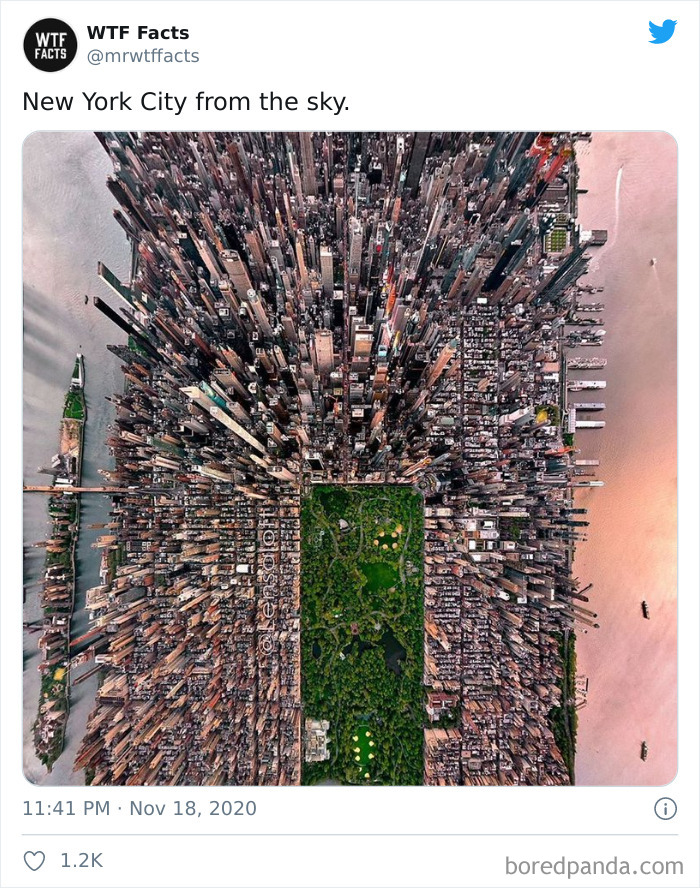 Weird-Interesting-Facts