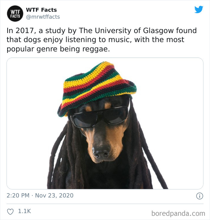 Weird-Interesting-Facts