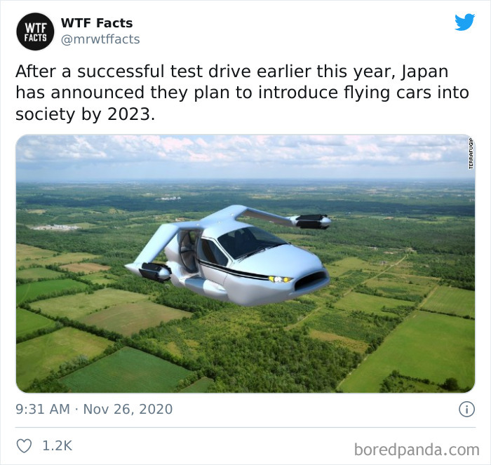 Weird-Interesting-Facts