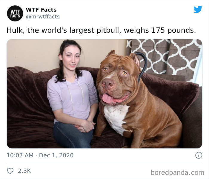 Weird-Interesting-Facts