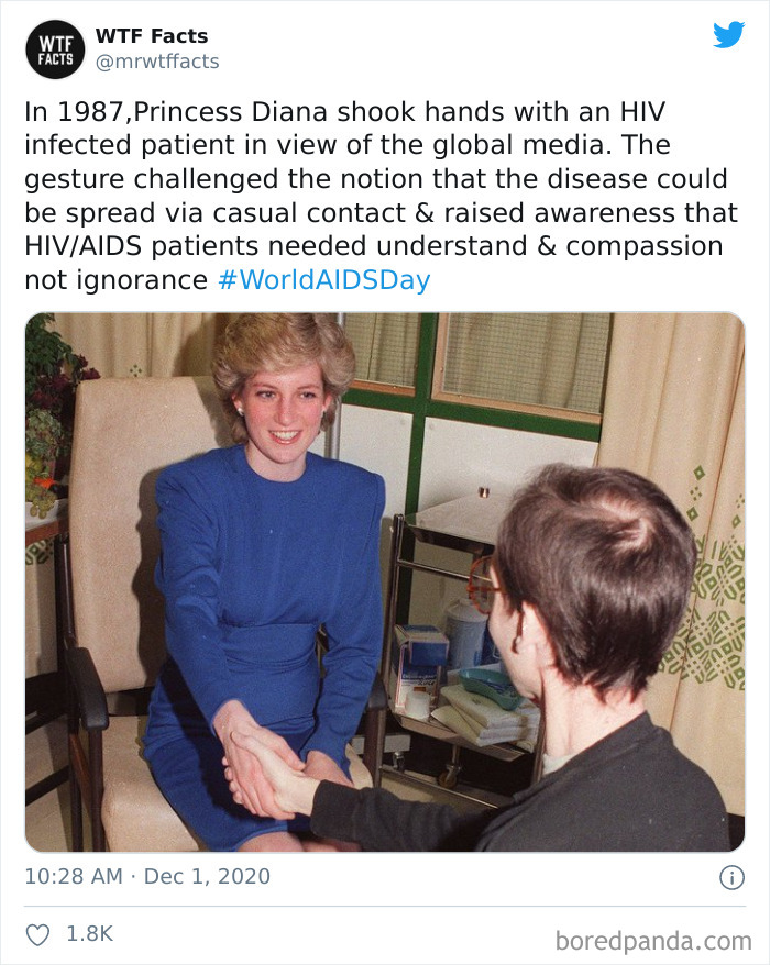 Weird-Interesting-Facts