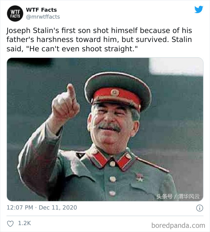 Weird-Interesting-Facts