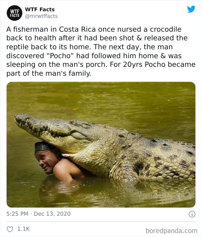 Weird-Interesting-Facts