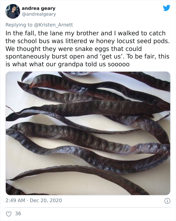 Sensible-Childhood-Beliefs