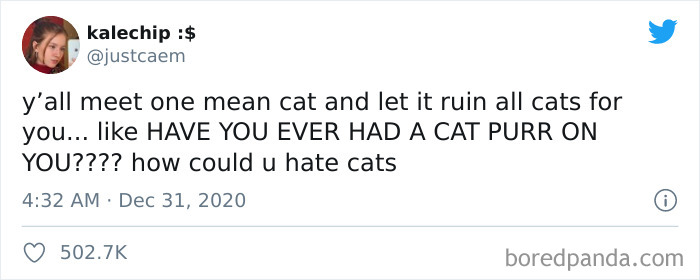 Cat-vs.-Dog-People-Tweets