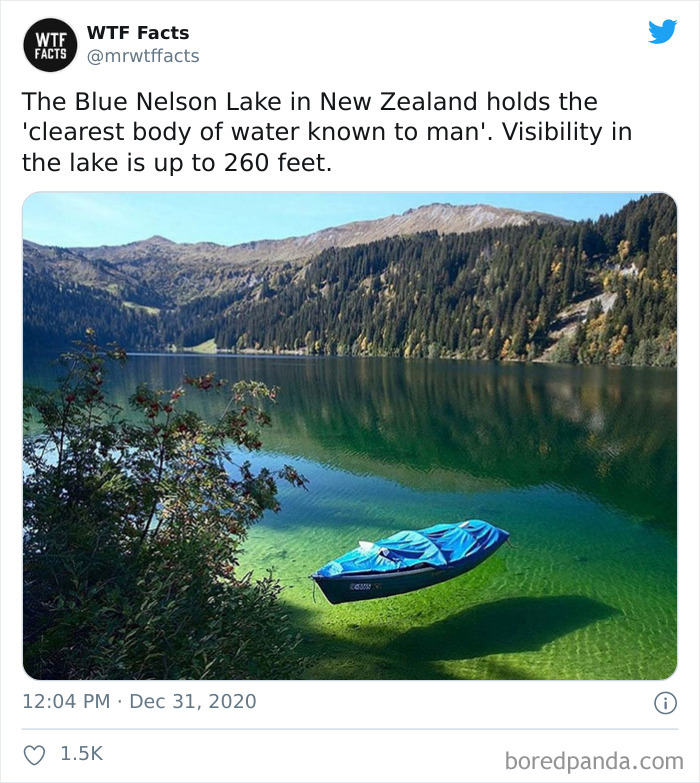 Weird-Interesting-Facts